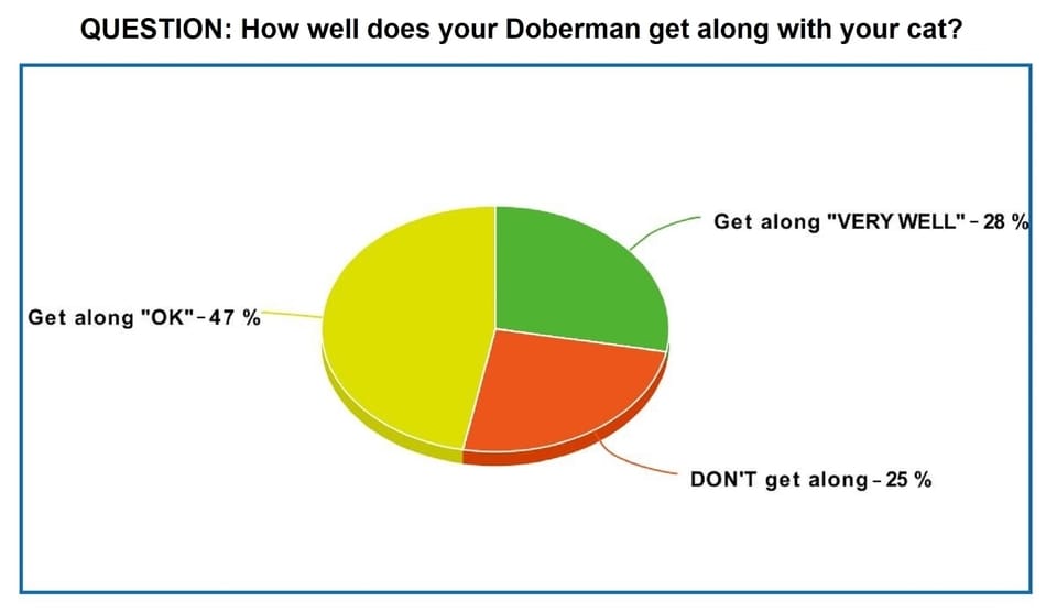 Dobermans with Cats Owners Poll