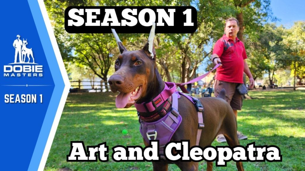 Dobie Masters Season 1 Thumbnail